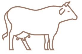 Agriturismo con mucche