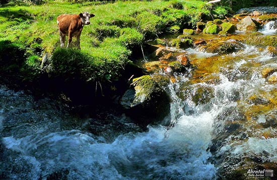 Parco Naturale delle Vedrette di Ries/Aurina