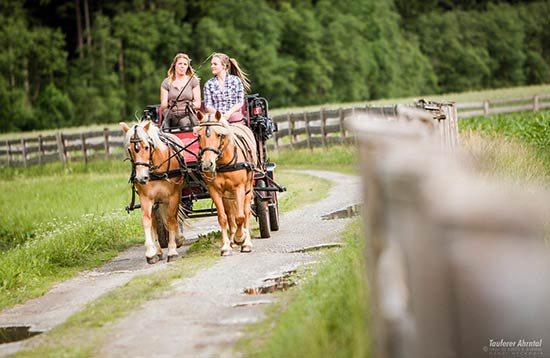 Riding and carriage Ahrntal