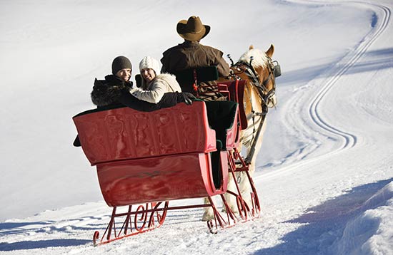 Gite in carrozza equitazione invernale